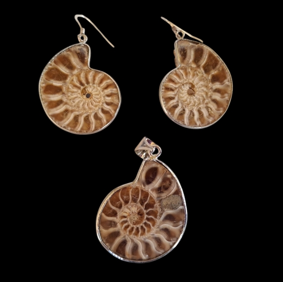 Unique Ammonite Fossil Earrings & Pendant Set 925 Sterling Silver "Stargazer" - Picture 3 of 13